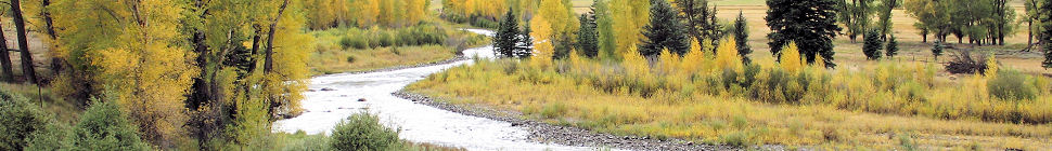 KABT BioBlog random header image