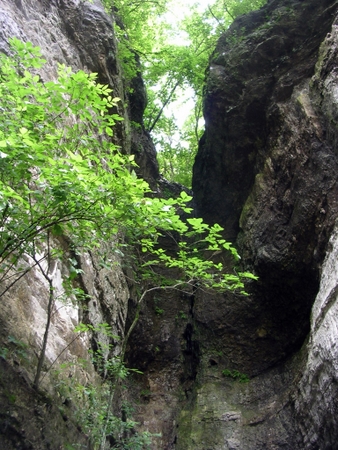 Fault Lines Missouri