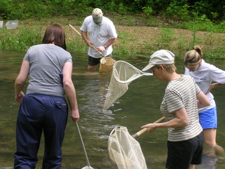 stream-walk-2.JPG