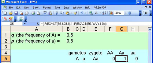 IF Aa or aA