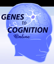 Genes to Cognition at the Dolan DNA Learning Ctr