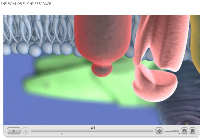 New from the Genetics Science Learning Center