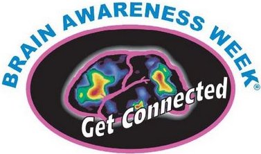 Brain Discovery Fair