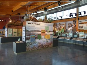 Spring Fieldtrip to Cheyenne Bottoms