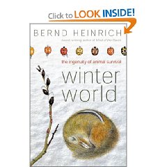 Book cover from Amazon.com