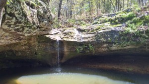 KABT Spring Field Trip (Chautauqua Hills)