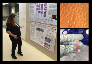 This is Dr. Roby at the Hemenway lab, where we extracted RNA from cancerous ovarian cells of mice. This was my favorite tour. We learned so much about her research, including how they developed a special cell line, which we got to see! (It look just like that scene from Jurassic Park.)