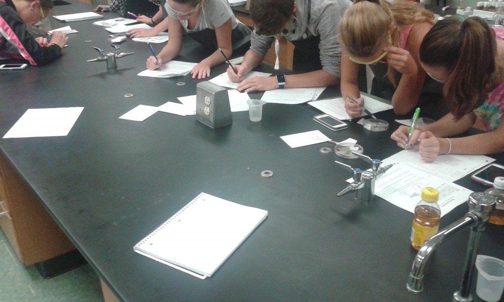 Students are investigating Drosophila behavior in their choice chambers.