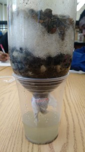 In My Classroom #14 – Building a Wetland Filter Lab