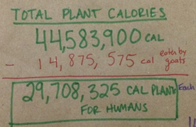 plant-cal-conversion
