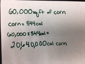 corn