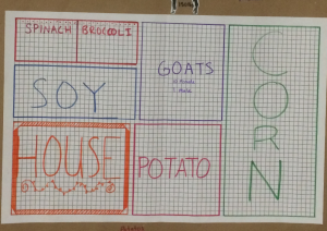 grid