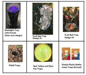 Insect Trap Designs